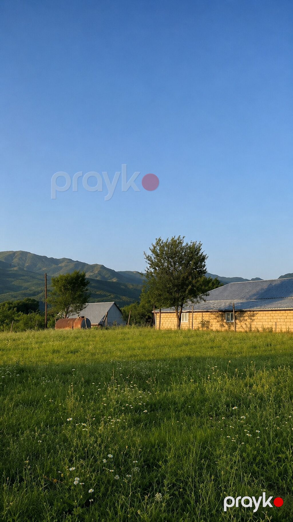50 sot, Kənd təsərrüfatı, Mülkiyyətçi, Bələdiyyə — Torpaq, İsmayıllı (2)