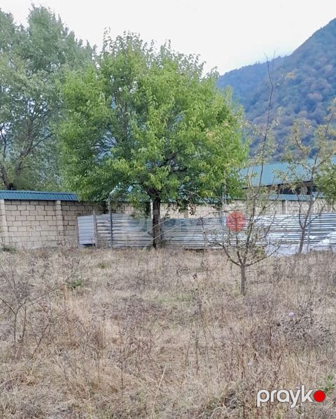 26 sot, Biznes üçün, Mülkiyyətçi, Kupça (Çıxarış) — Qəbələ