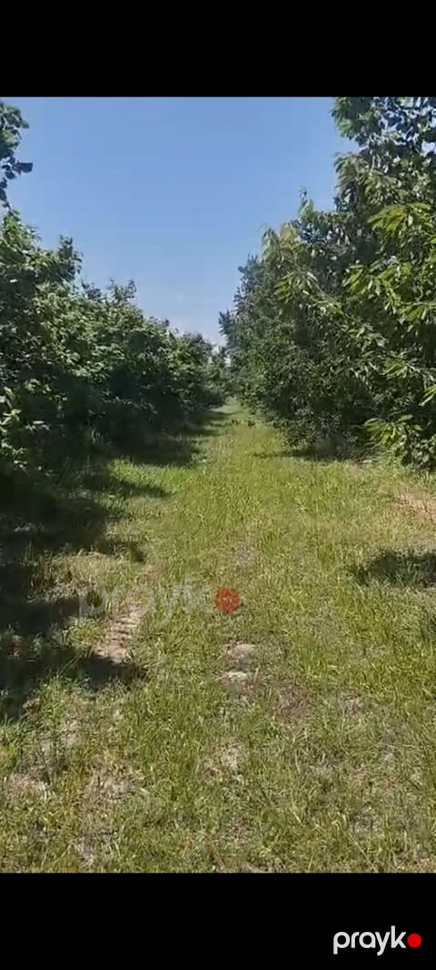 80 sot torpaq sahəsi, Xaçmaz r — Xaçmaz
