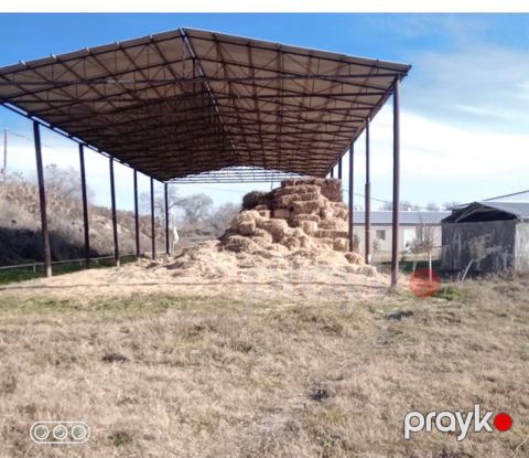 İstehsalat, 1000 m², Yeni Uluxanlı kəndi, Salyan — Salyan