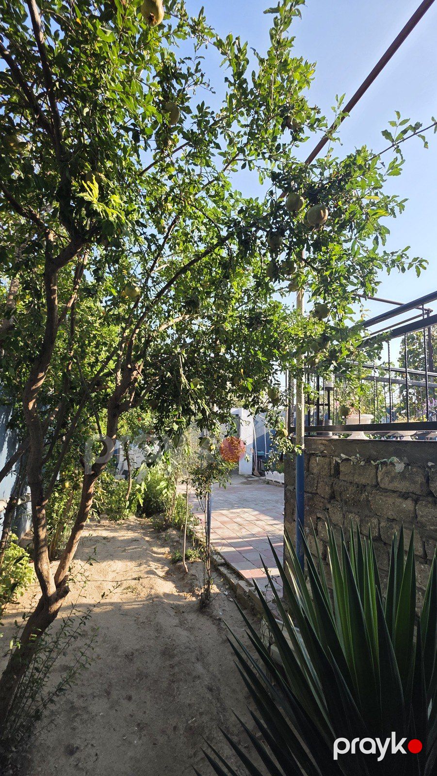 Satılır 5 otaqlı həyət evi/bağ evi 148 m² — Ev, villa, Bakı (3)