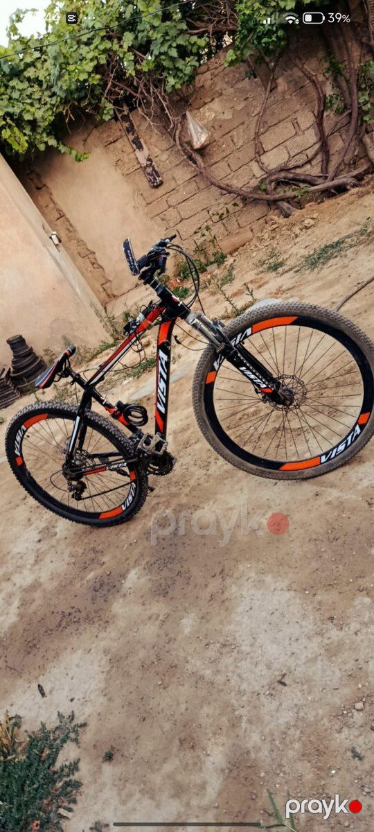 Velosiped — Velosipedlər, Bakı (2)