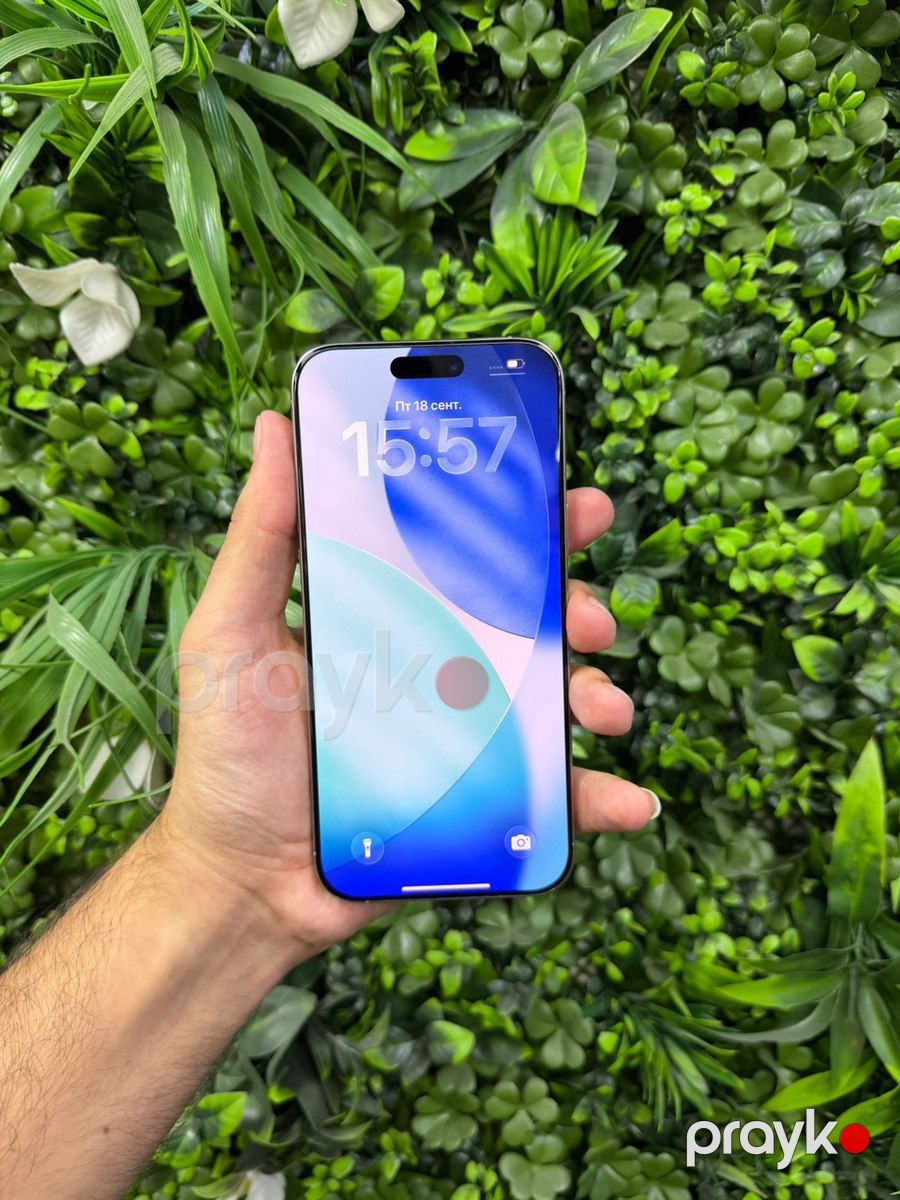 Apple iPhone 16 Pro Max Natural Titanium 256GB/8GB — Smartfonlar, Bakı (6)