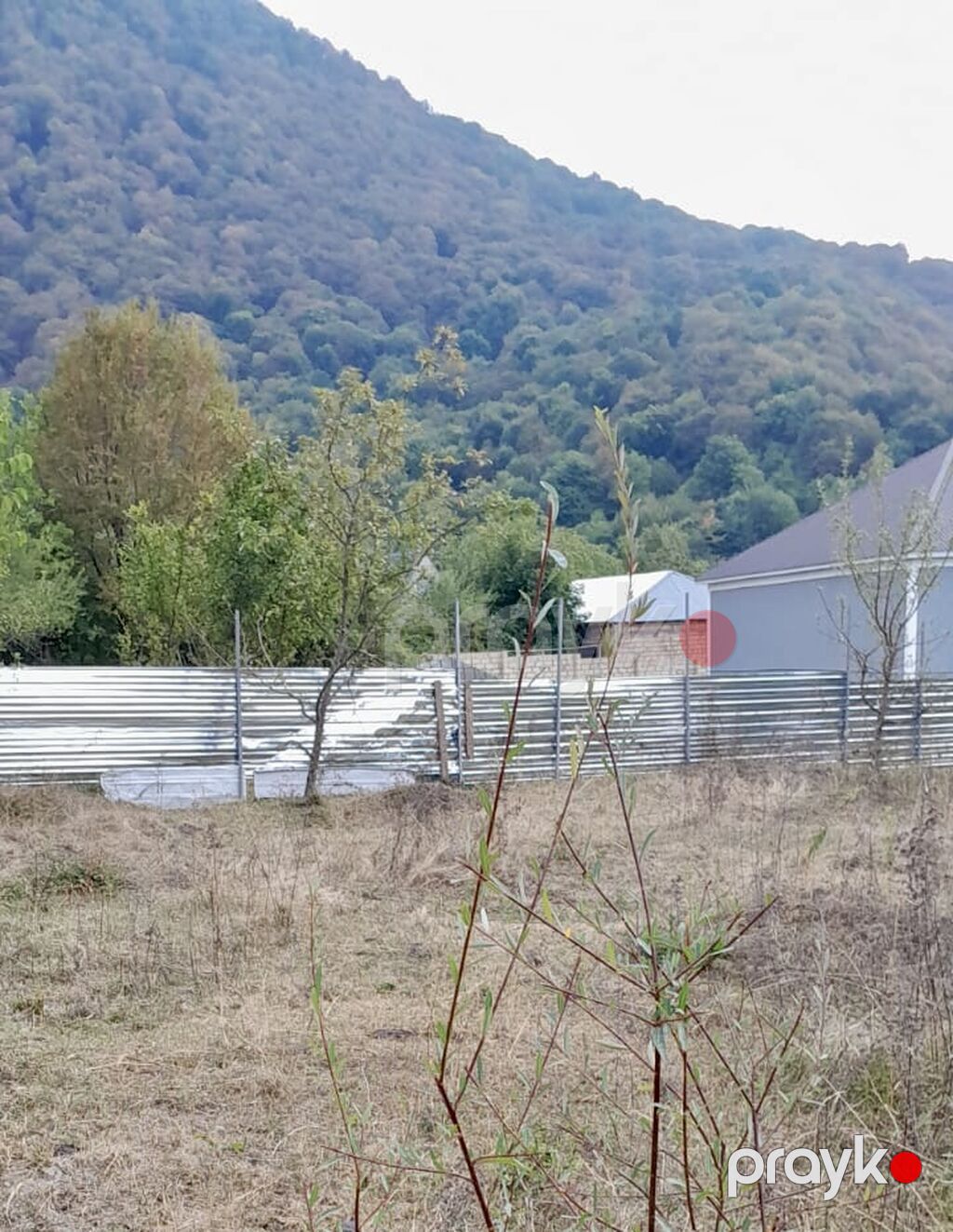 26 sot, Biznes üçün, Mülkiyyətçi, Kupça (Çıxarış) — Torpaq, Qəbələ (3)