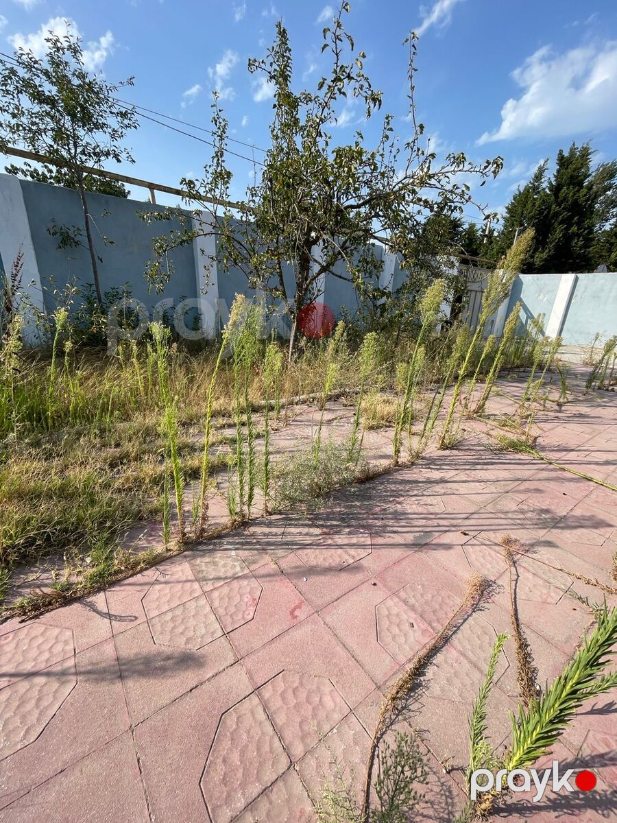 Satılır torpaq 5 sot — Torpaq, Bakı (10)