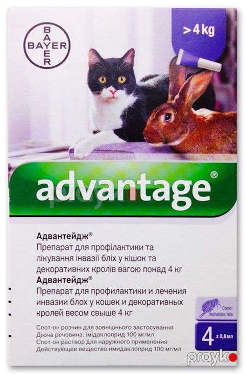 Damcı Bayer "Адвантейдж" 80, 4 kq artıq pişiklər və dovşanlar üçün, gənələrə qarşı, 4 pipet — Bakı