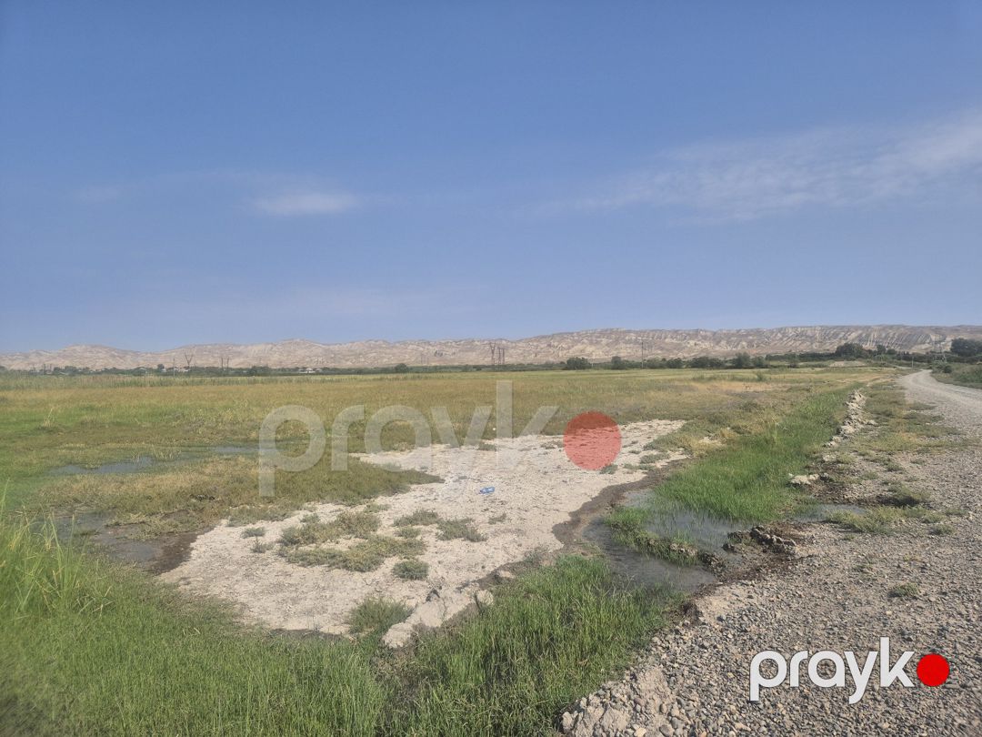 15 sot torpaq sahəsi, Mingəçevir ş — Torpaq, Mingəçevir (3)
