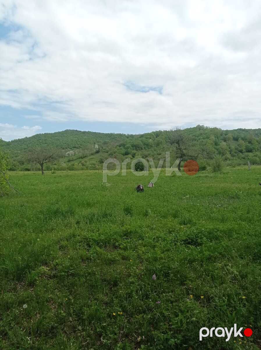14 sot torpaq sahəsi, Quba r — Torpaq, Quba (3)