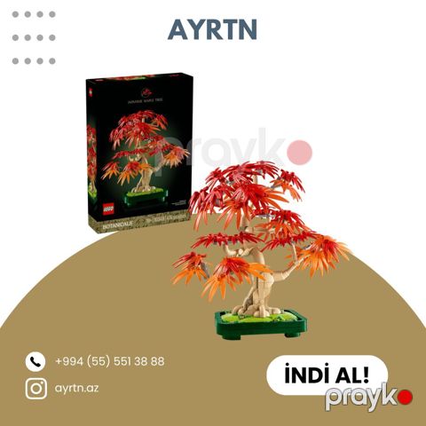 Lego Botanicals – Japanese Maple Tree (Yapon ağcaqayını) konstruksiya — Bakı