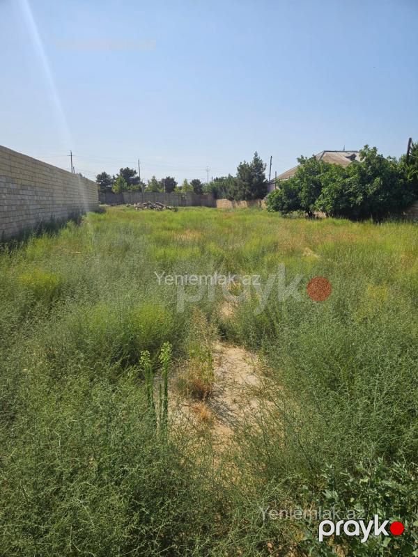 Satılır Torpaq sahəsi, 10 sot, Goradil — Torpaq, Abşeron (4)