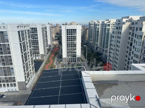 Satılır 5 otaqlı yeni tikili 700 m² — Bakı