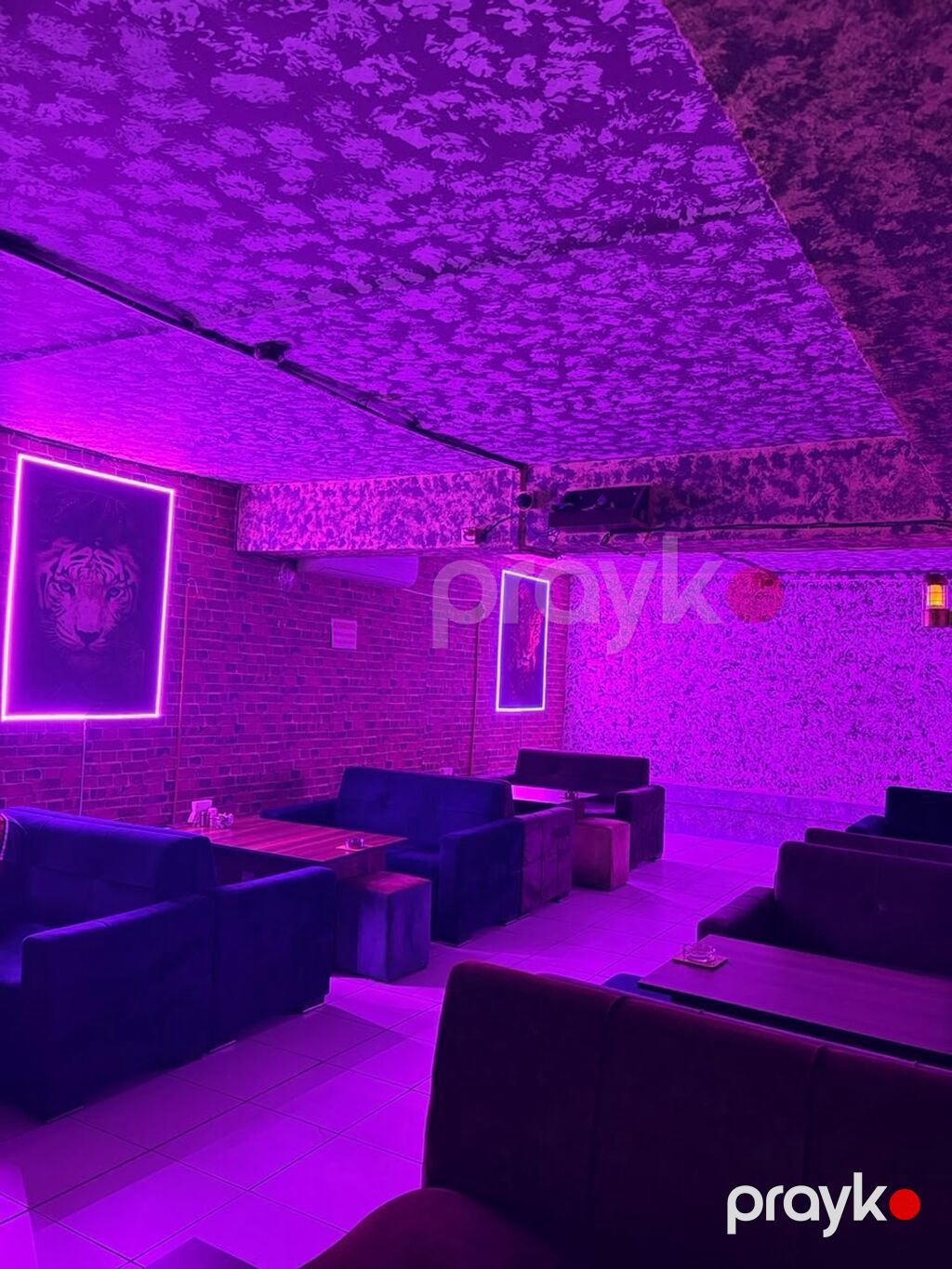 Lounge/kafe məkanı – rahat oturma zonaları və neon işıqlandırma — Əmlak, Xaçmaz (4)