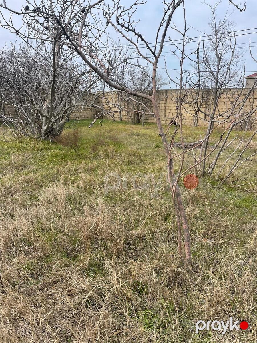Satılır 5 otaqlı həyət evi/bağ evi 200 m² — Ev, villa, Bakı (7)