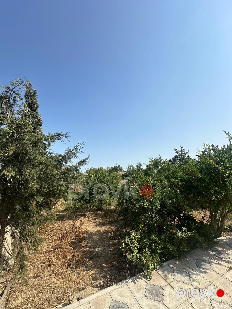 Satılır torpaq 20 sot — Torpaq, Bakı (2)