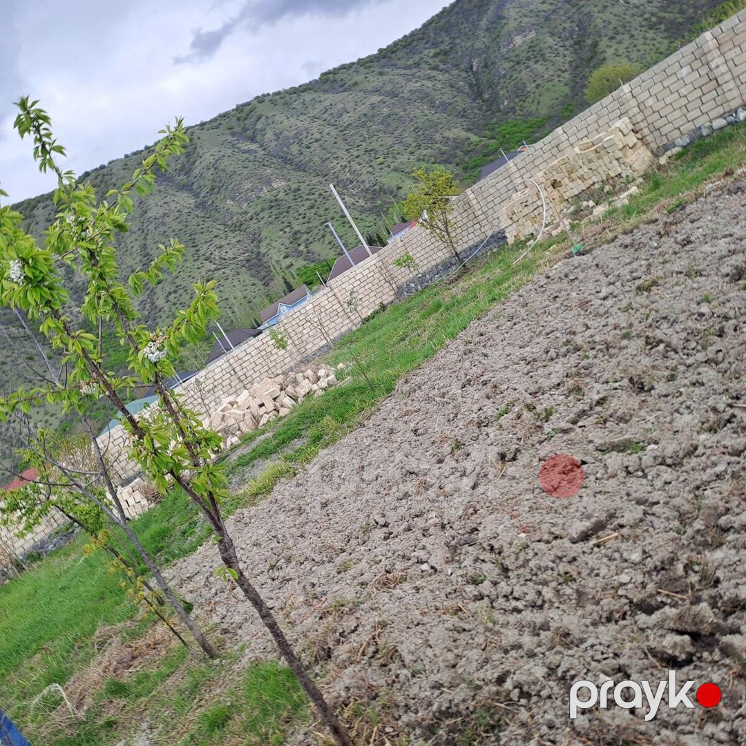 6 sot torpaq sahəsi, Şəki ş — Torpaq, Şəki (2)