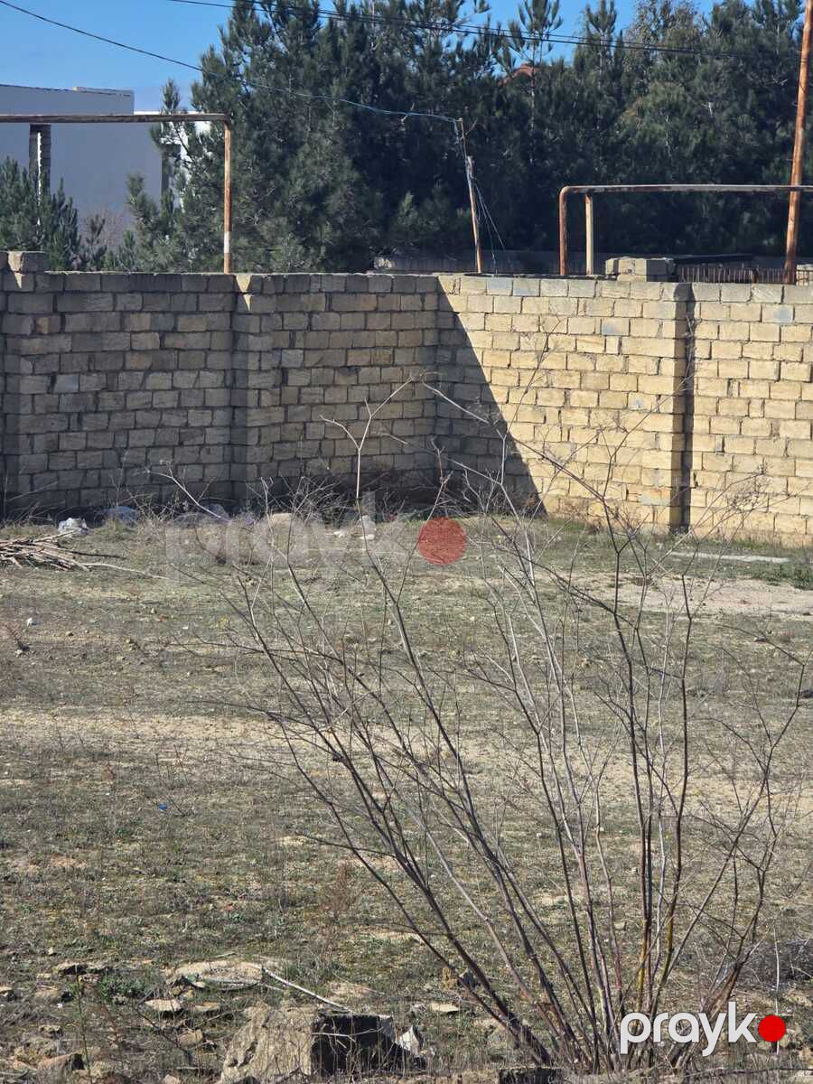 Satılır torpaq 24 sot — Torpaq, Bakı (8)