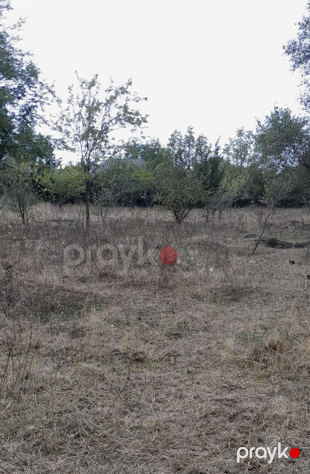 26 sot, Biznes üçün, Mülkiyyətçi, Kupça (Çıxarış) — Torpaq, Qəbələ (4)