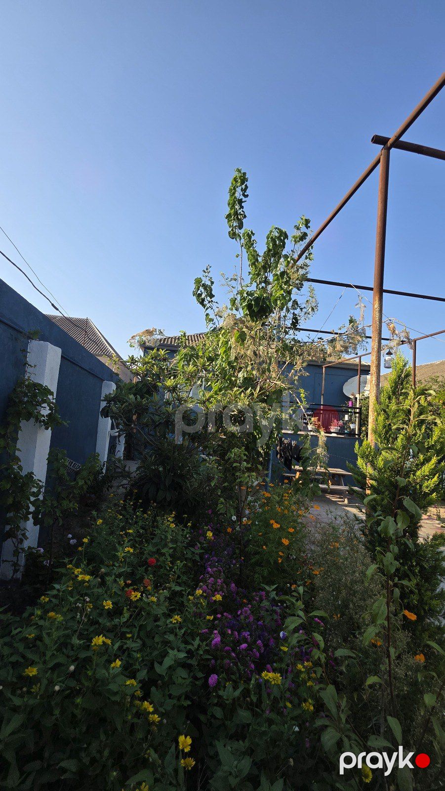 Satılır 5 otaqlı həyət evi/bağ evi 148 m² — Ev, villa, Bakı (5)