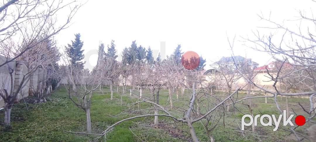Satılır torpaq 14 sot — Torpaq, Bakı (12)
