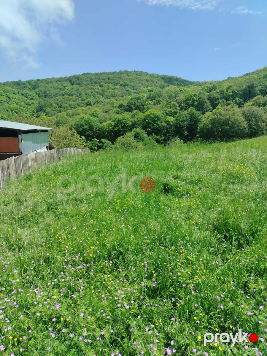 Satılır torpaq 7 sot — Torpaq, İsmayıllı (5)