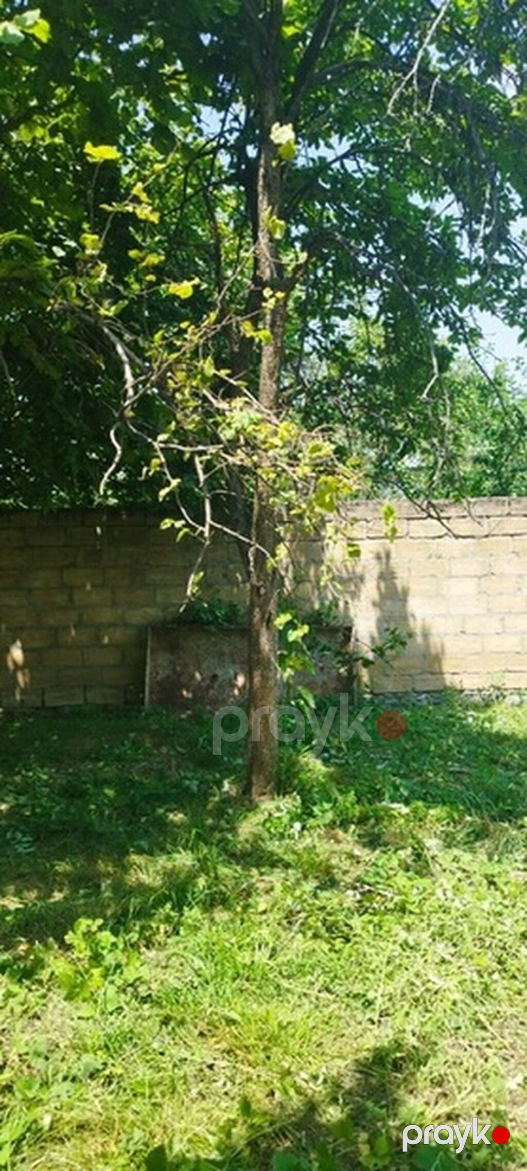 Tikinti — Torpaq, Bakı (8)