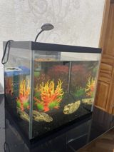 Akvarium — Cefer