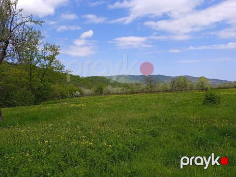 14 sot torpaq sahəsi, Quba r — Quba