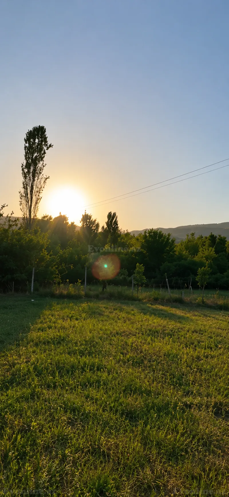 Satılır Torpaq 50 sot İsmayıllı — Torpaq, İsmayıllı (3)