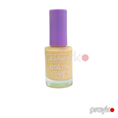 Dırnaqlar üçün lak Callista Color Up Nail Polish 134 9 ml — Bakı