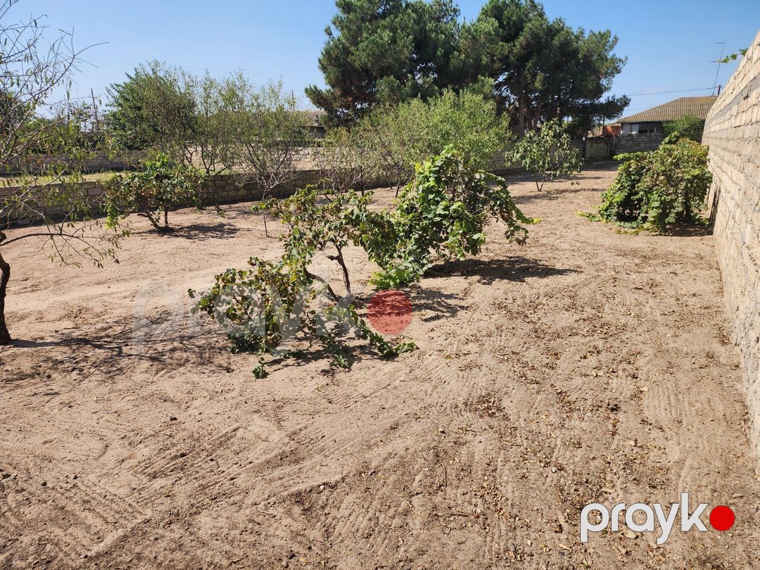 Satılır torpaq 6 sot — Torpaq, Bakı (7)