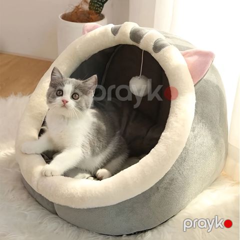 Evcik pişik üçün iva202, yumşaq peluş yastıq ilə — Bakı