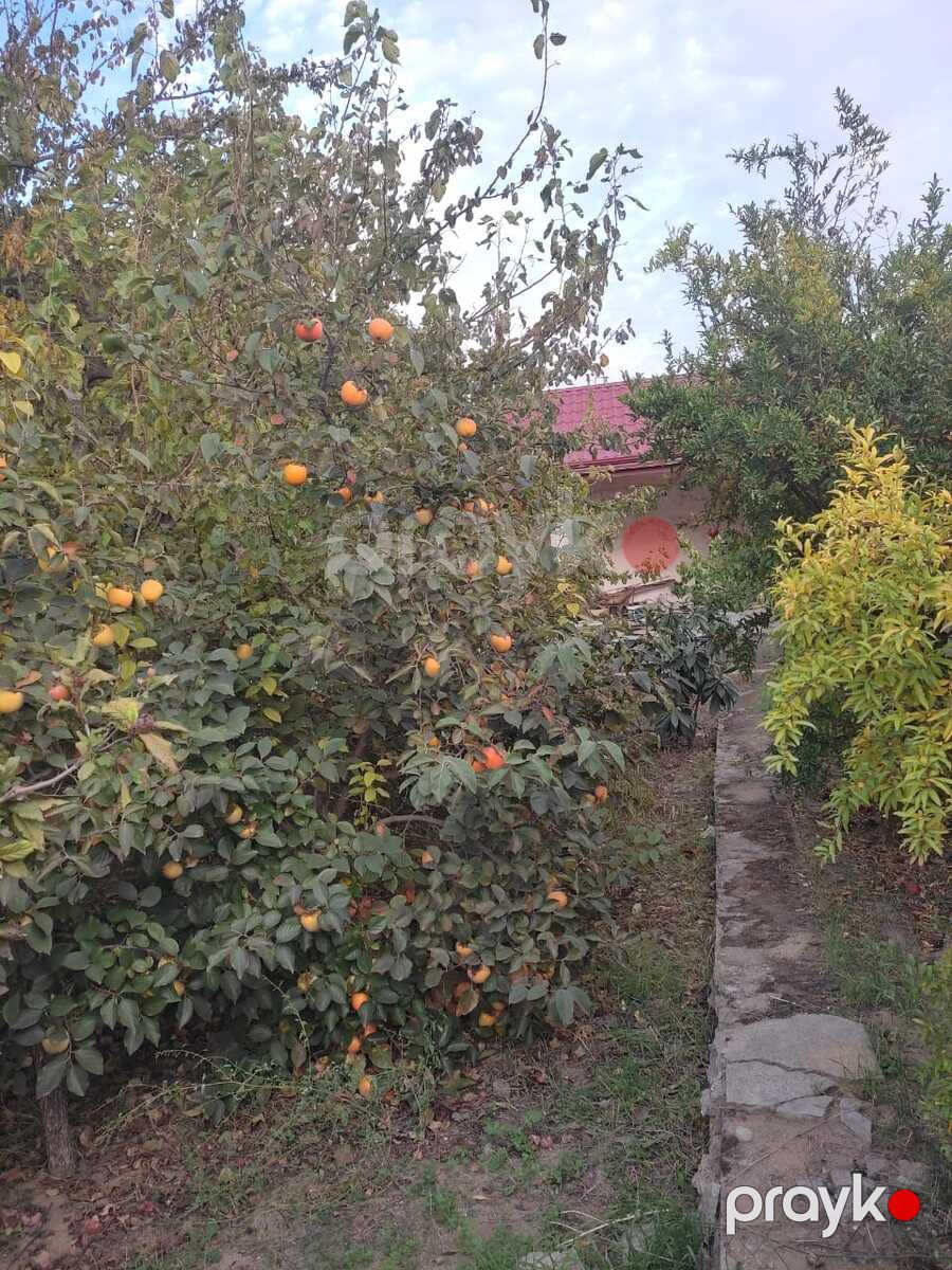 Satılır 4 otaqlı həyət evi/bağ evi 200 m² — Ev, villa, Bakı (8)