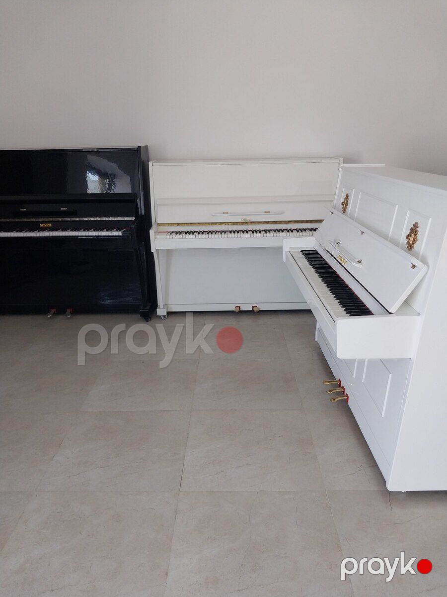 Piano — Musiqiə alətləri, Bakı (9)