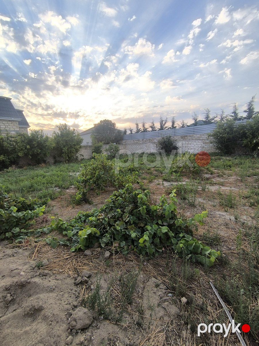 Satılır torpaq 4 sot — Torpaq, Bakı (9)