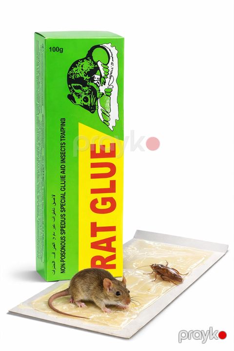 Siçanlar üçün yapışqan, 100 q — Bakı