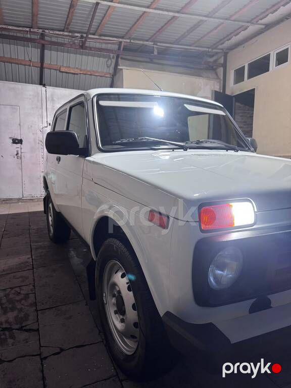Lada (VAZ) Niva, 1.7 L, 2020 il, 217 256 km — Avtomobillər, Bakı (10)