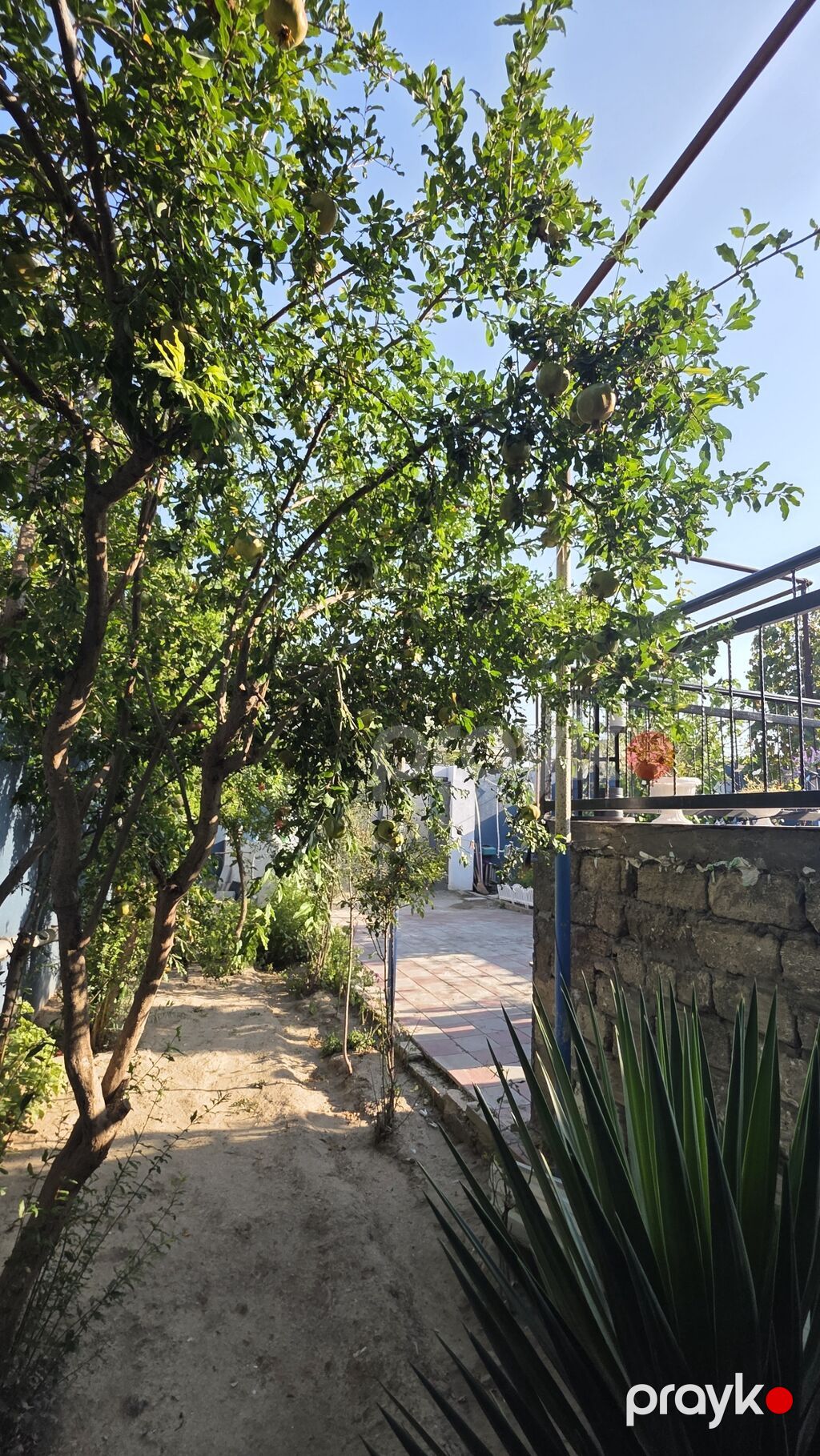 5 otaqlı, 145 kv. m, Kredit yoxdur, Yeni təmirli — Ev, villa, Digah (6)