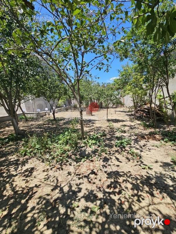 Satılır 5 otaqlı Həyət evi / Villa, 200 m², Saray — Ev, villa, Abşeron (8)