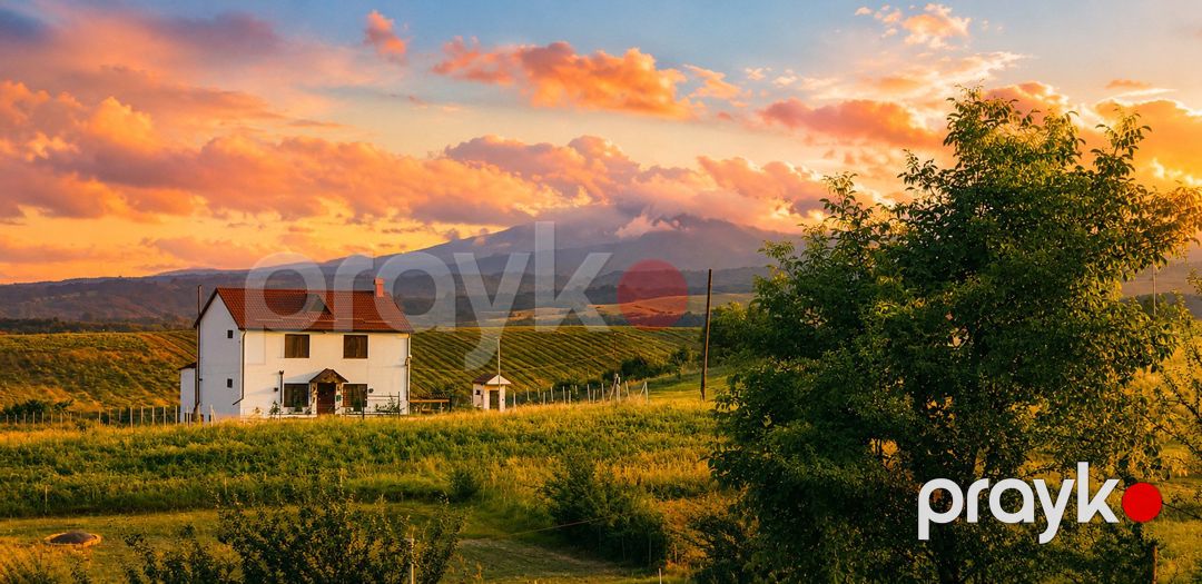 İcarəyə verilir 4 otaqlı həyət evi/bağ evi 300 m² — Ev, villa, Qusar (6)