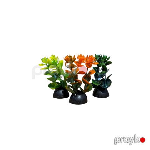 Akvarium üçün süni bitkilər AF11046, məhsul çeşiddə — Bakı