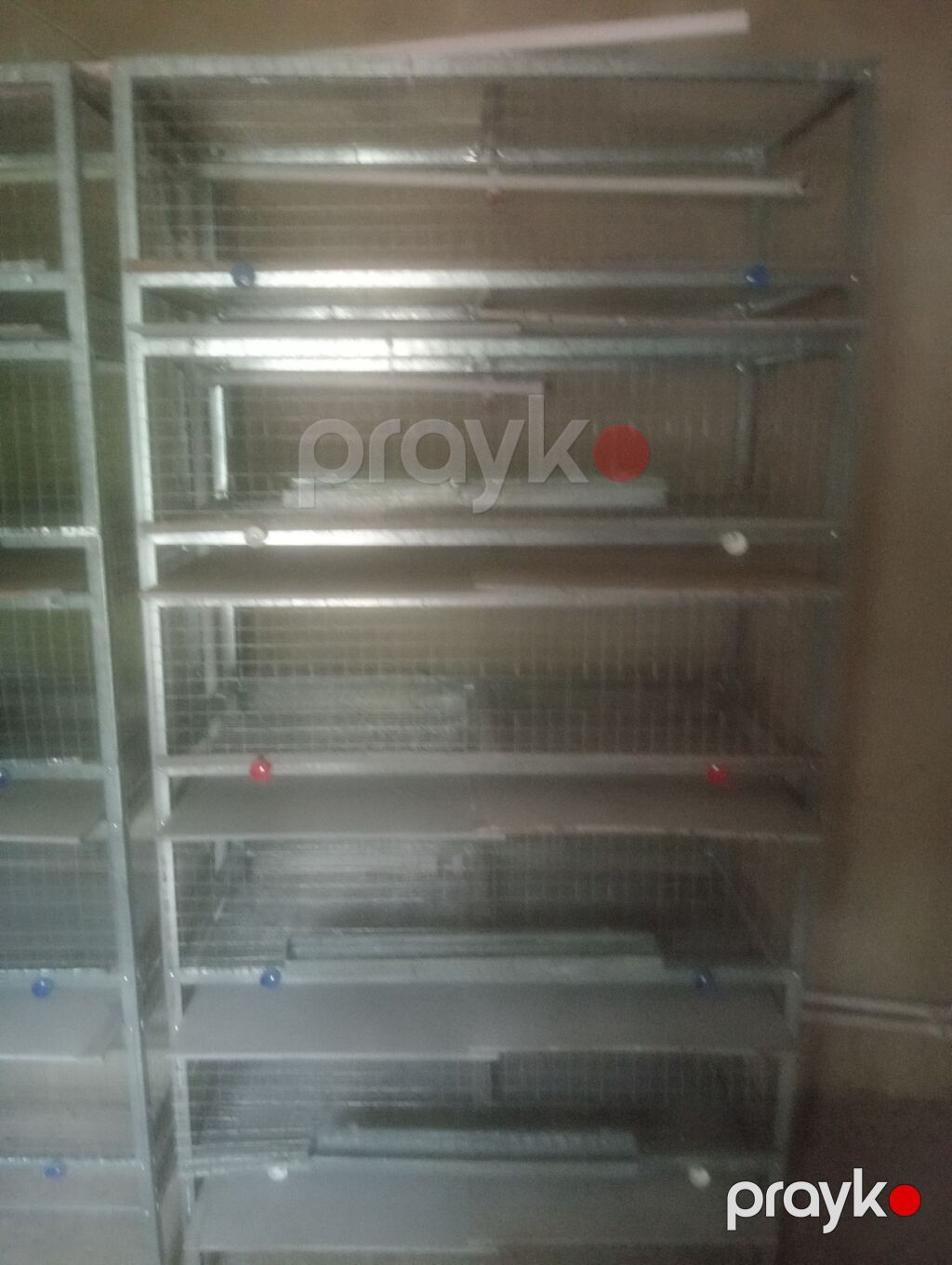 Sənaye tipli quşçuluq qəfəs sistemi - Material: sinklənmiş metal — Qəfəslər, Saray (3)