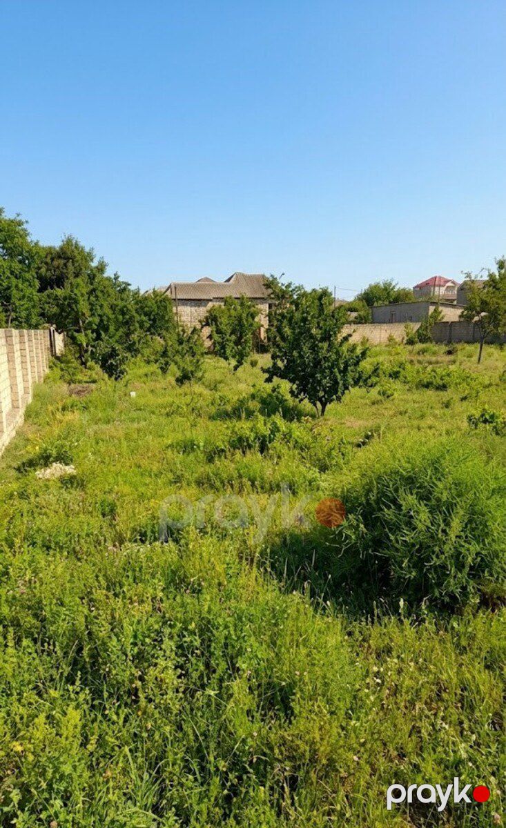 Satılır torpaq 9 sot — Torpaq, Bakı (2)
