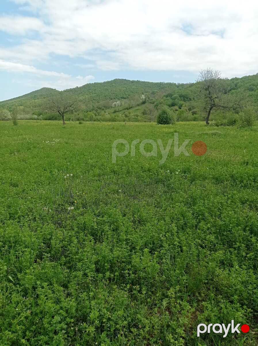 14 sot torpaq sahəsi, Quba r — Torpaq, Quba (2)