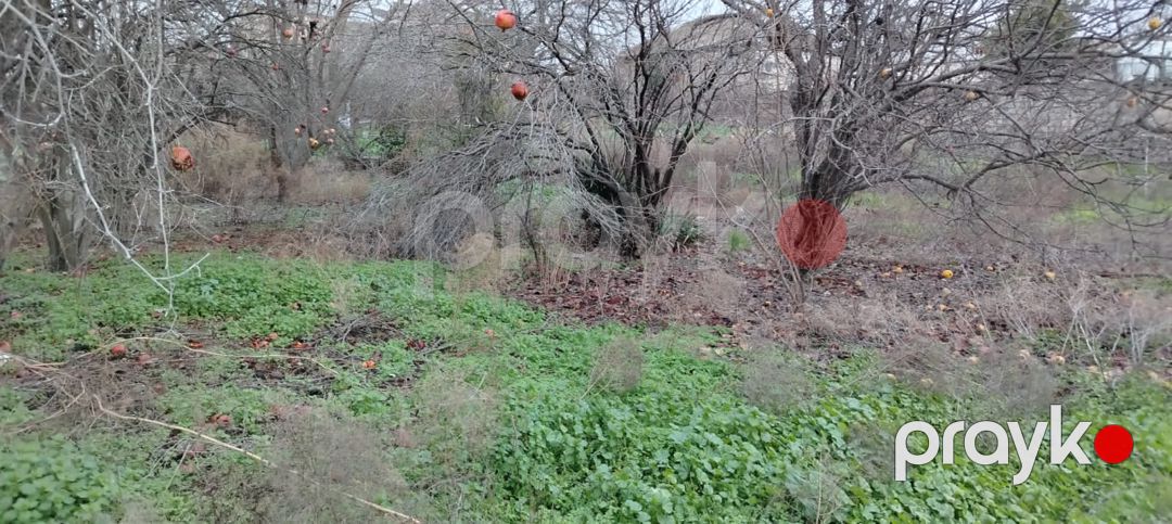 Satış: Torpaq, 3 sot, Xətai rayonu — Torpaq, Bakı (4)