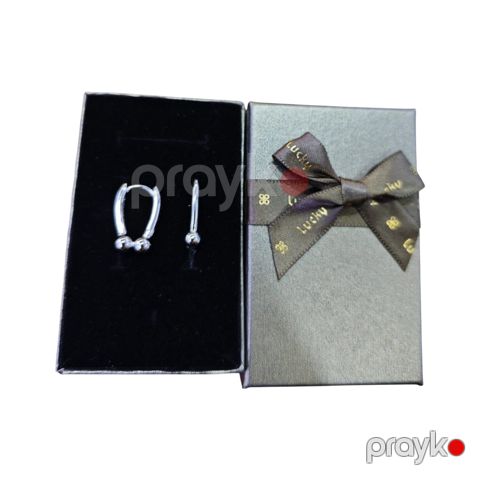 Qadın sırğaları Tiffaniy, gümüş - QS-30 — Bakı