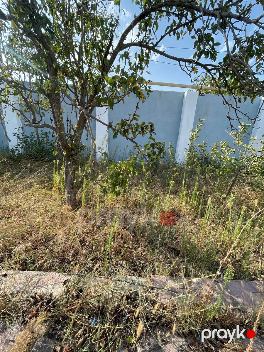 Satılır torpaq 5 sot — Torpaq, Bakı (7)