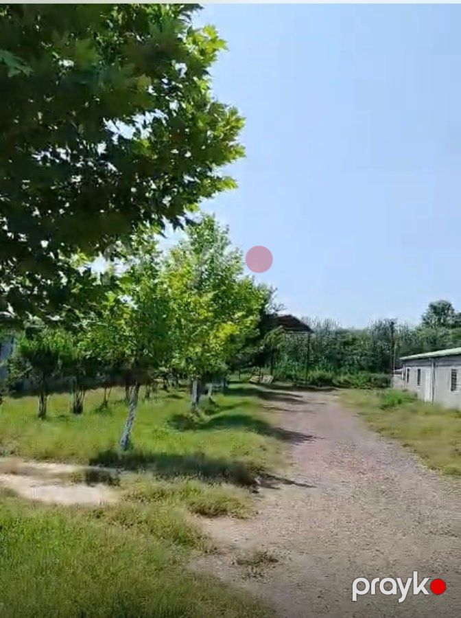İstehsalat, 1000 m², Yeni Uluxanlı kəndi, Salyan — Daşınmaz əmlak, Salyan (11)