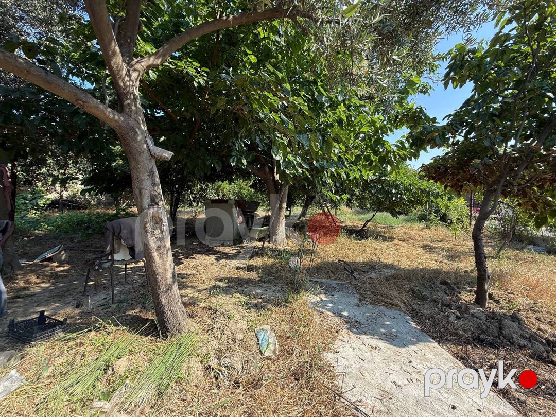 Satılır torpaq 12 sot — Torpaq, Bakı (2)