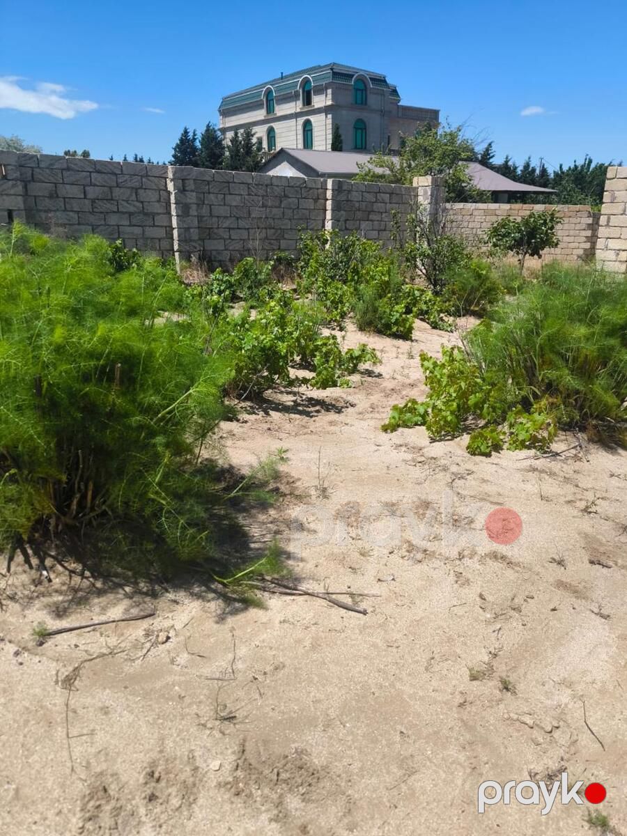 Satılır torpaq 5 sot — Torpaq, Bakı (3)