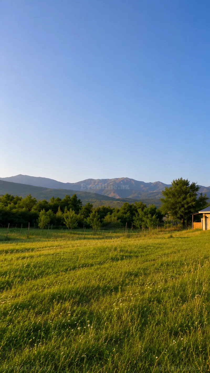Satılır Torpaq 50 sot İsmayıllı — Torpaq, İsmayıllı (6)
